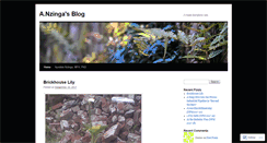 Desktop Screenshot of anzinga.com